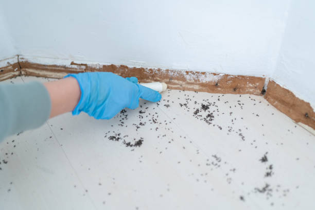 Best Commercial Pest Control Services  in Norwood, NC